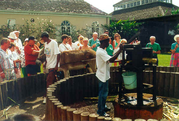 Sugarcane press