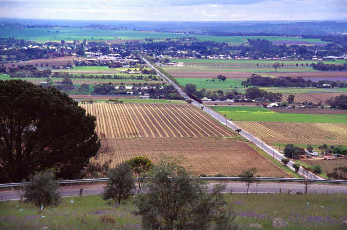 Barossa Valley