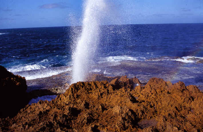 Blow Holes