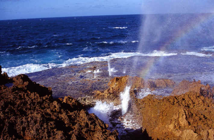 Blow Holes