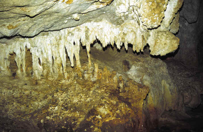 Capricorn Caves