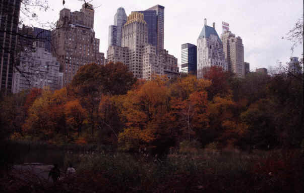 Central Park