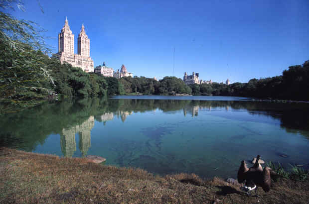 Central Park