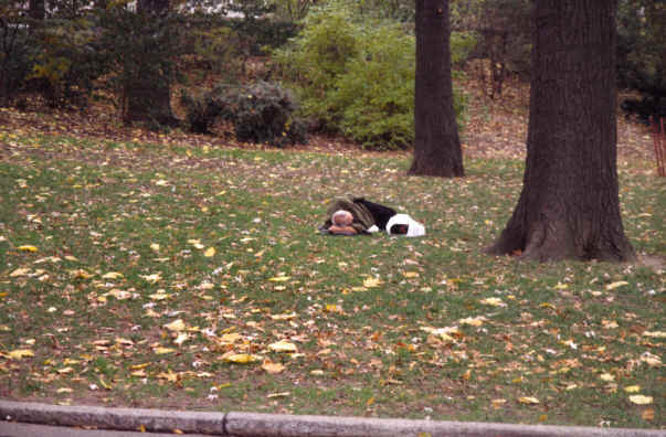 Central Park