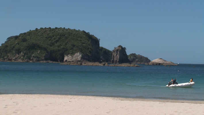 Coromandel Cathedral Caves Tour