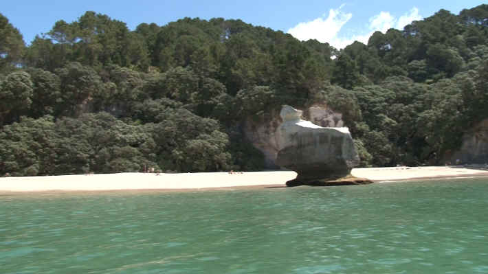 Coromandel Cathedral Caves Tour