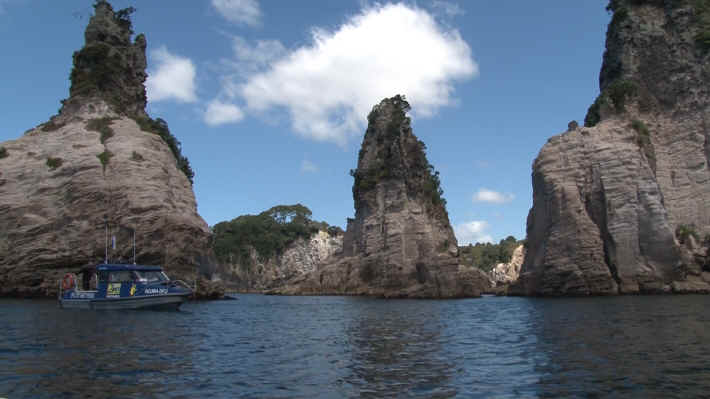 Coromandel Cathedral Caves Tour