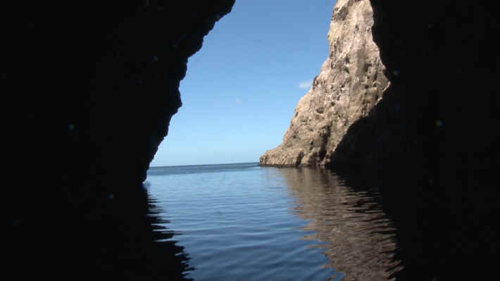 Coromandel Cathedral Caves Tour