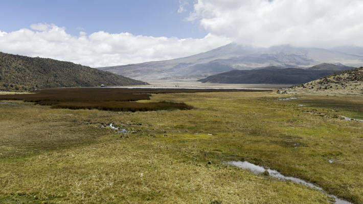 Cotopaxi Nationalpark