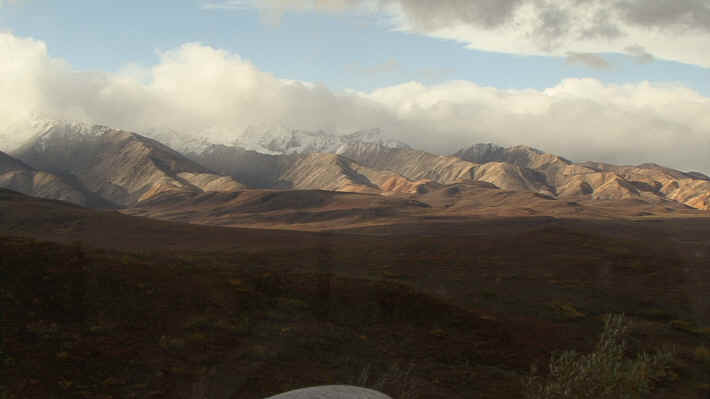 Denali National Park