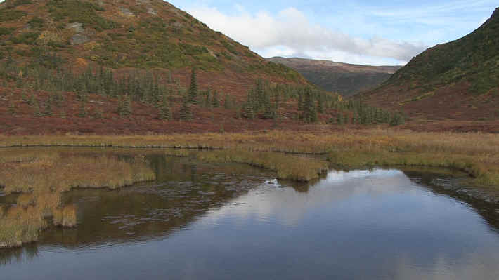 Denali National Park