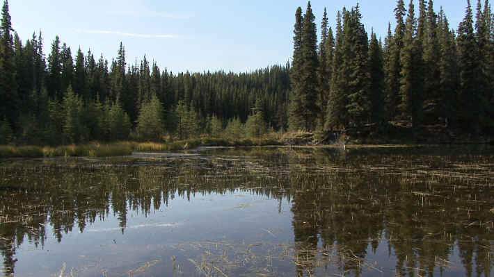 Denali National Park