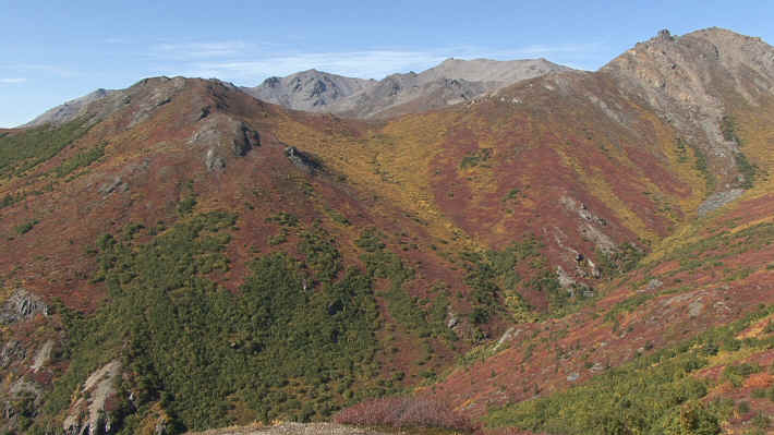 Denali National Park