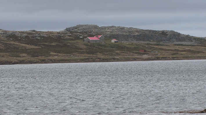 The Falkland Islands