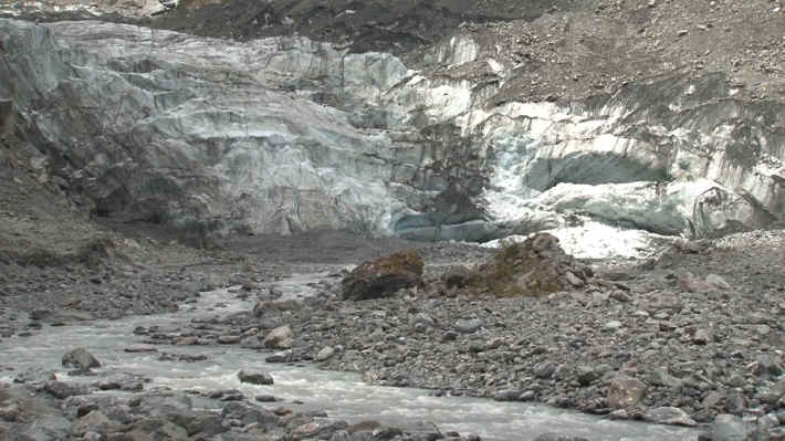 Fox Glacier