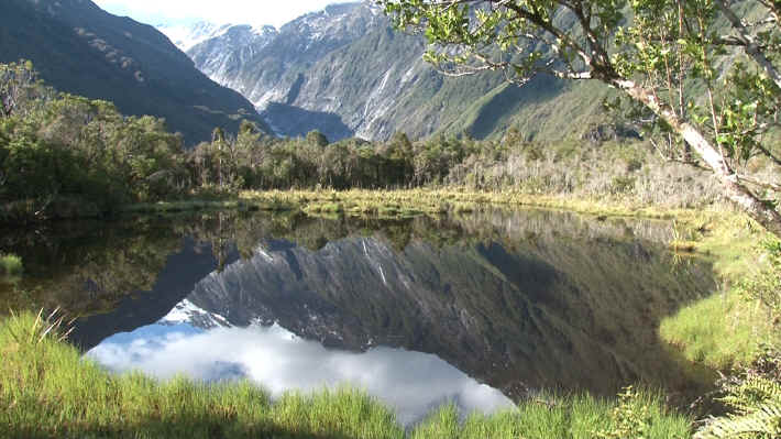 Franz Josef Peter's Pool