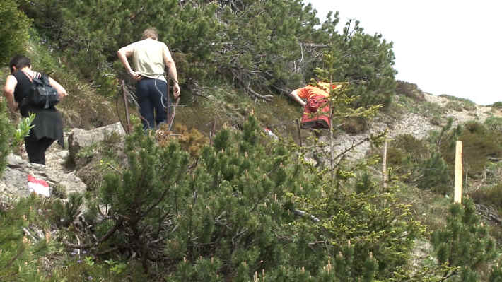 Gaisberg
