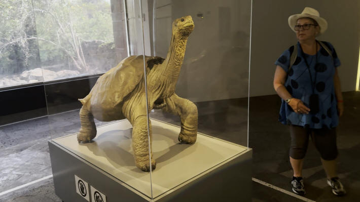 Lonesome George