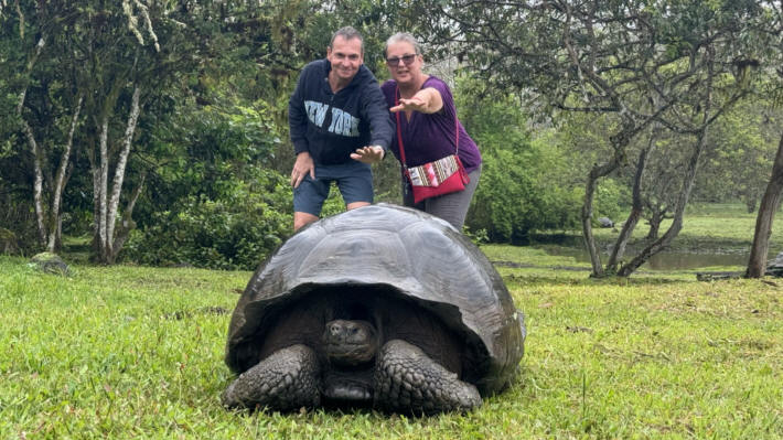 Galapagos Giant Tortoises