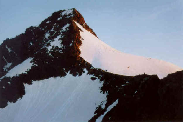 Der Großglockner