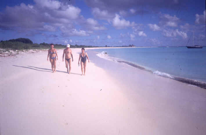 Great Bird Island