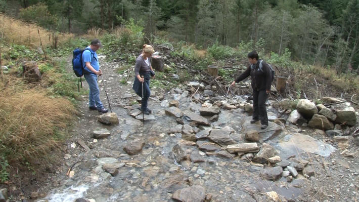 Groppensteinschlucht