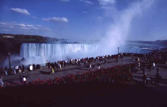 Horsesshoe Falls