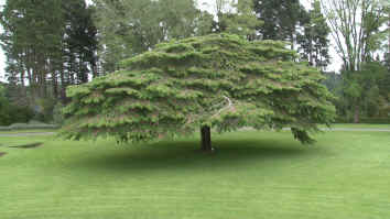 Invercargill Queen's Park