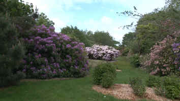 Invercargill Queen's Park