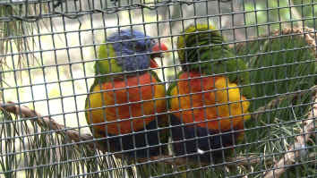 Invercargill Queen's Park