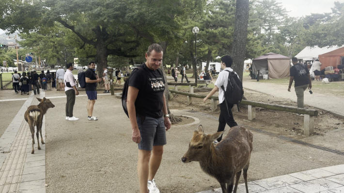 Nara Park