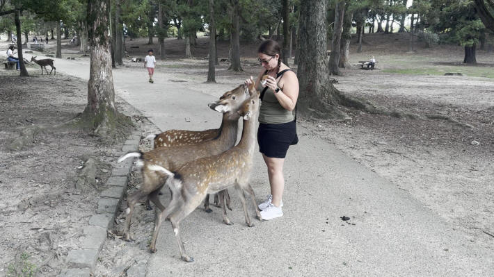 Nara Park