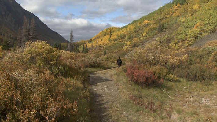 Kluane National Park