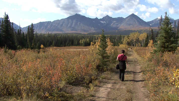 Kluane National Park