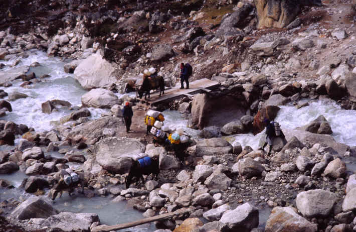 The way to Lobuche 16.270 feet