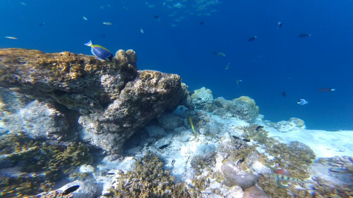Dhawa Ihuru