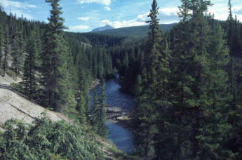 Maligne Canyon