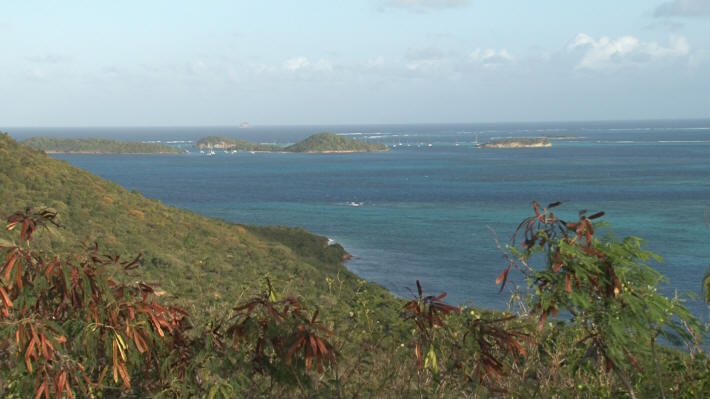 Mayreau