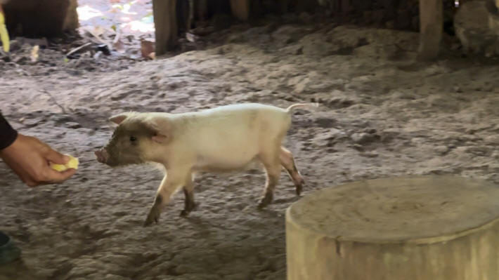 Puerto Viejo Bri-Bri