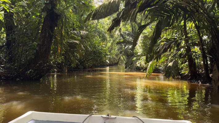 Tortuguero Nationalpark