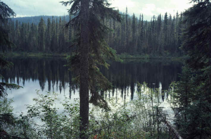 Moose Lake