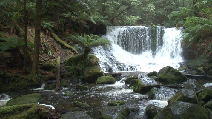 Mount Field National Park