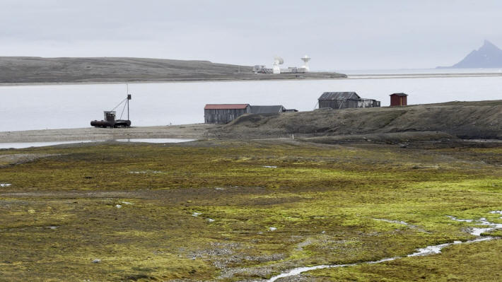 Ny-Ålesund