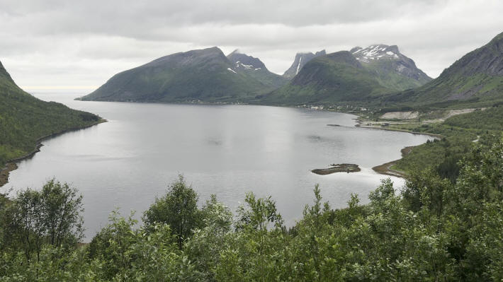 Senja