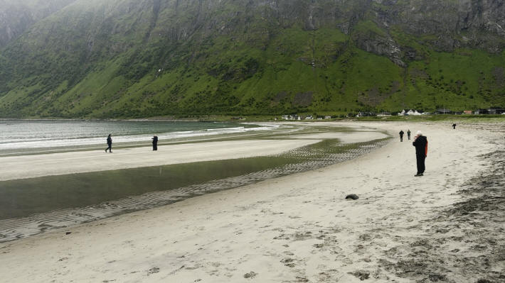 Senja