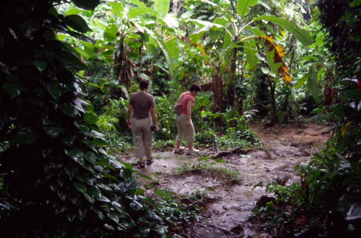 Park National de la Guadeloupe