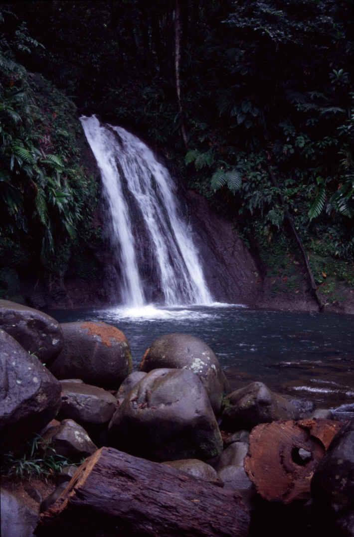 Park National de la Guadeloupe