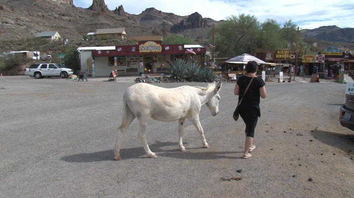 Oatman