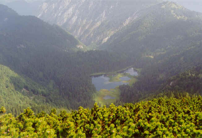 Der Obersee