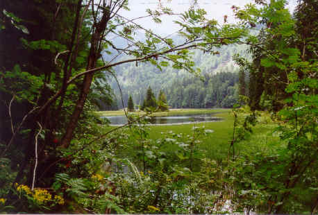 Der Obersee